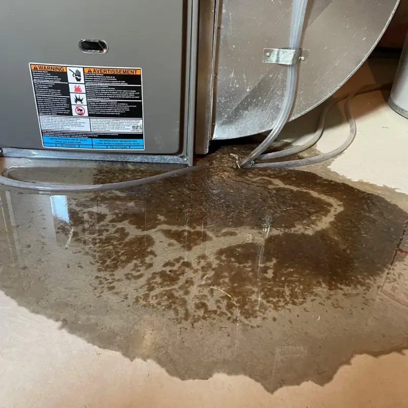 Appliance Leak Cleanup in Salina, KS